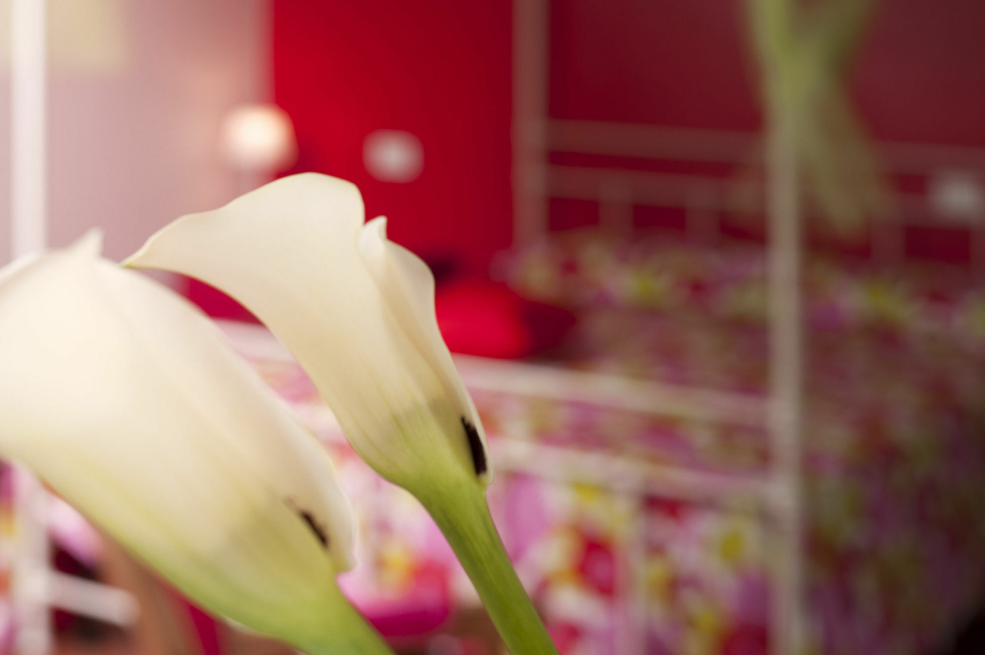 Antico Granaione Bed and Breakfast Rapolano Terme Εξωτερικό φωτογραφία